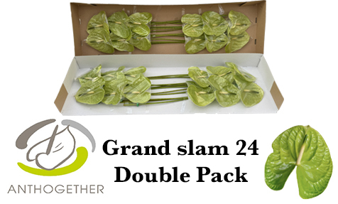 Anth A Grand Slam