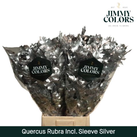 Quercus Rubra Sleeve L80 Silver