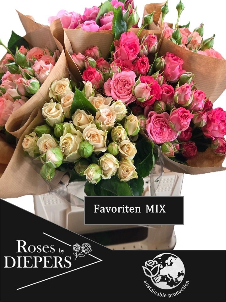 Rosa Spr Mixed In Bucket 40cm