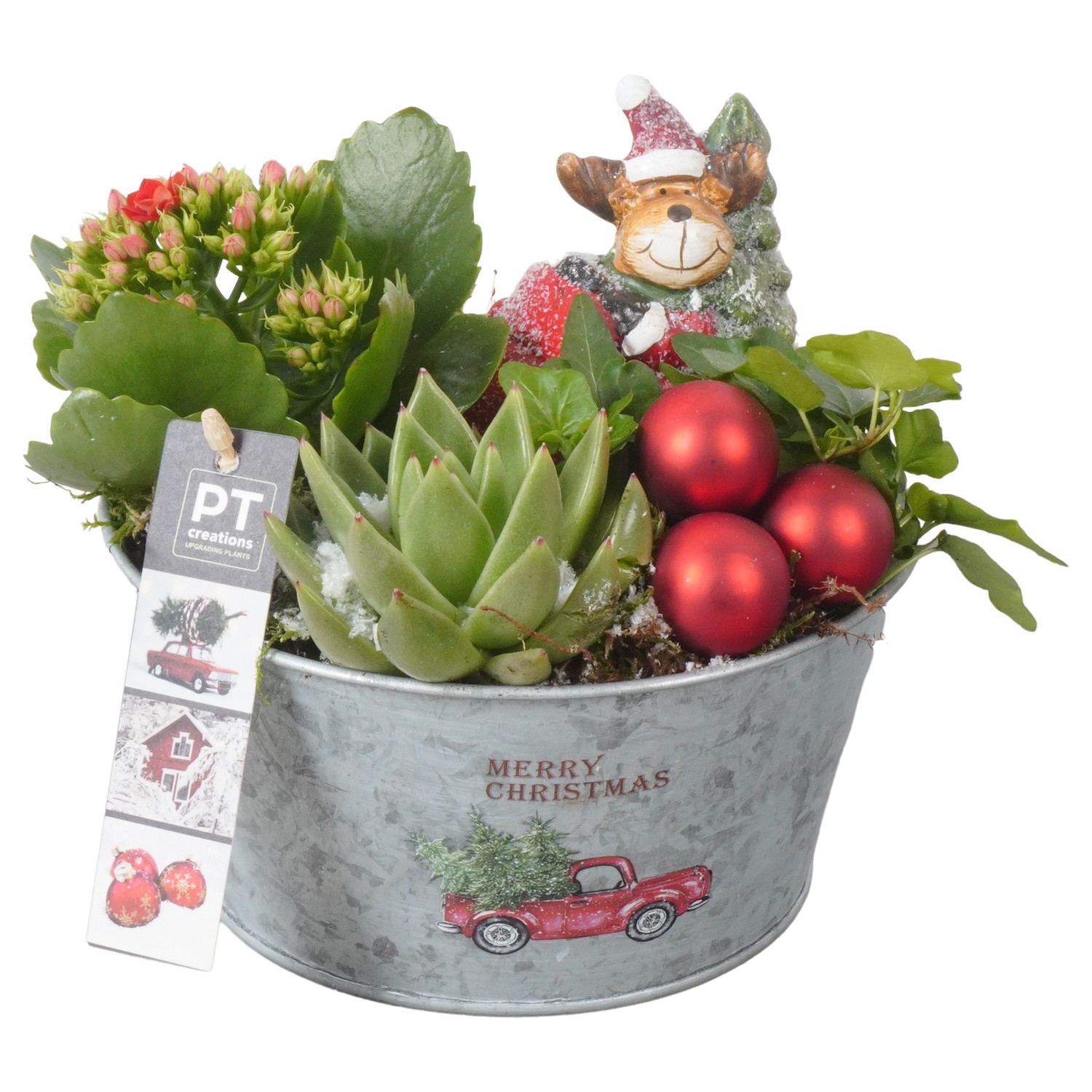 Picture of PTKB9449 Arrangement X-Mas in zinc pot P18 19CM