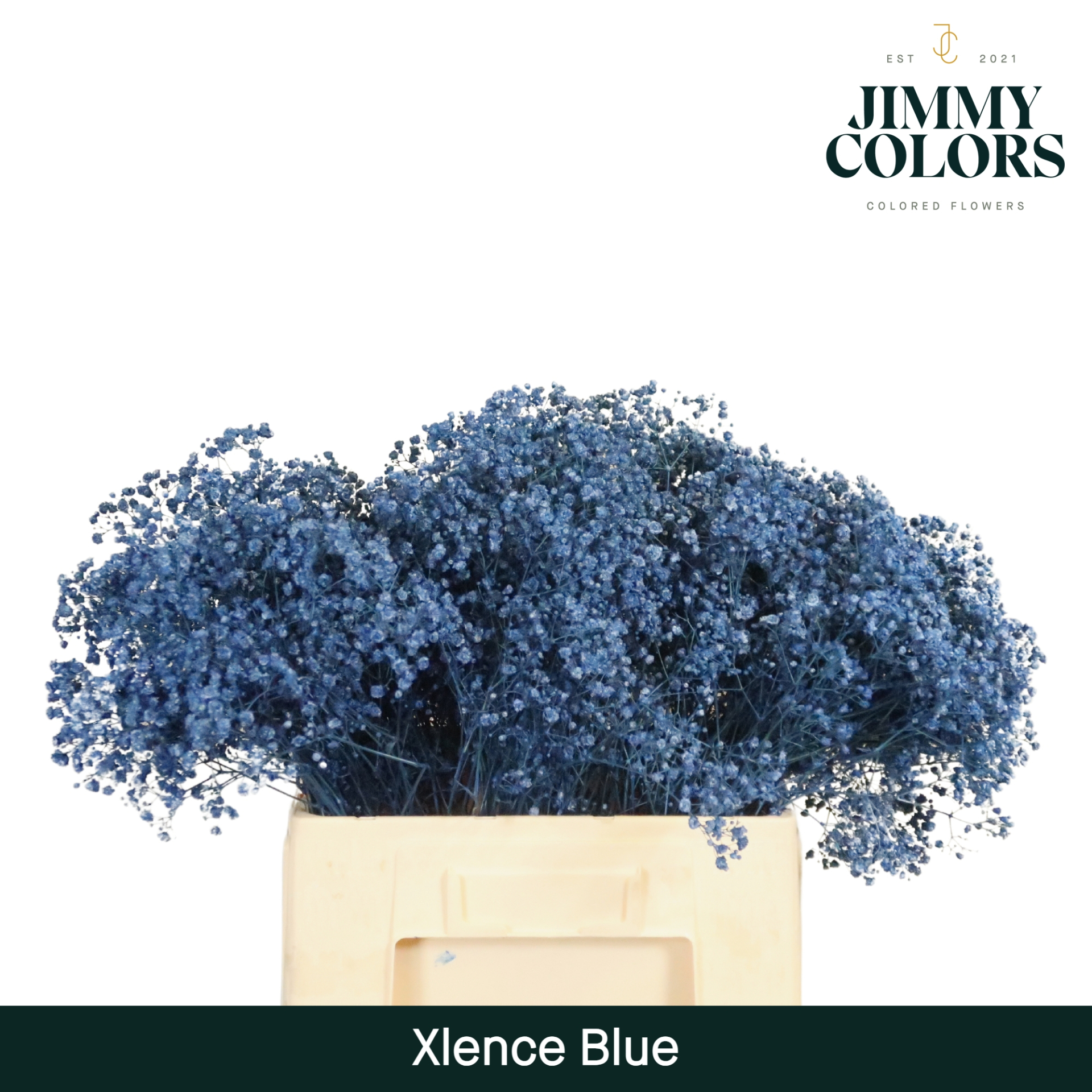 Gyps Xlence L60 Blue