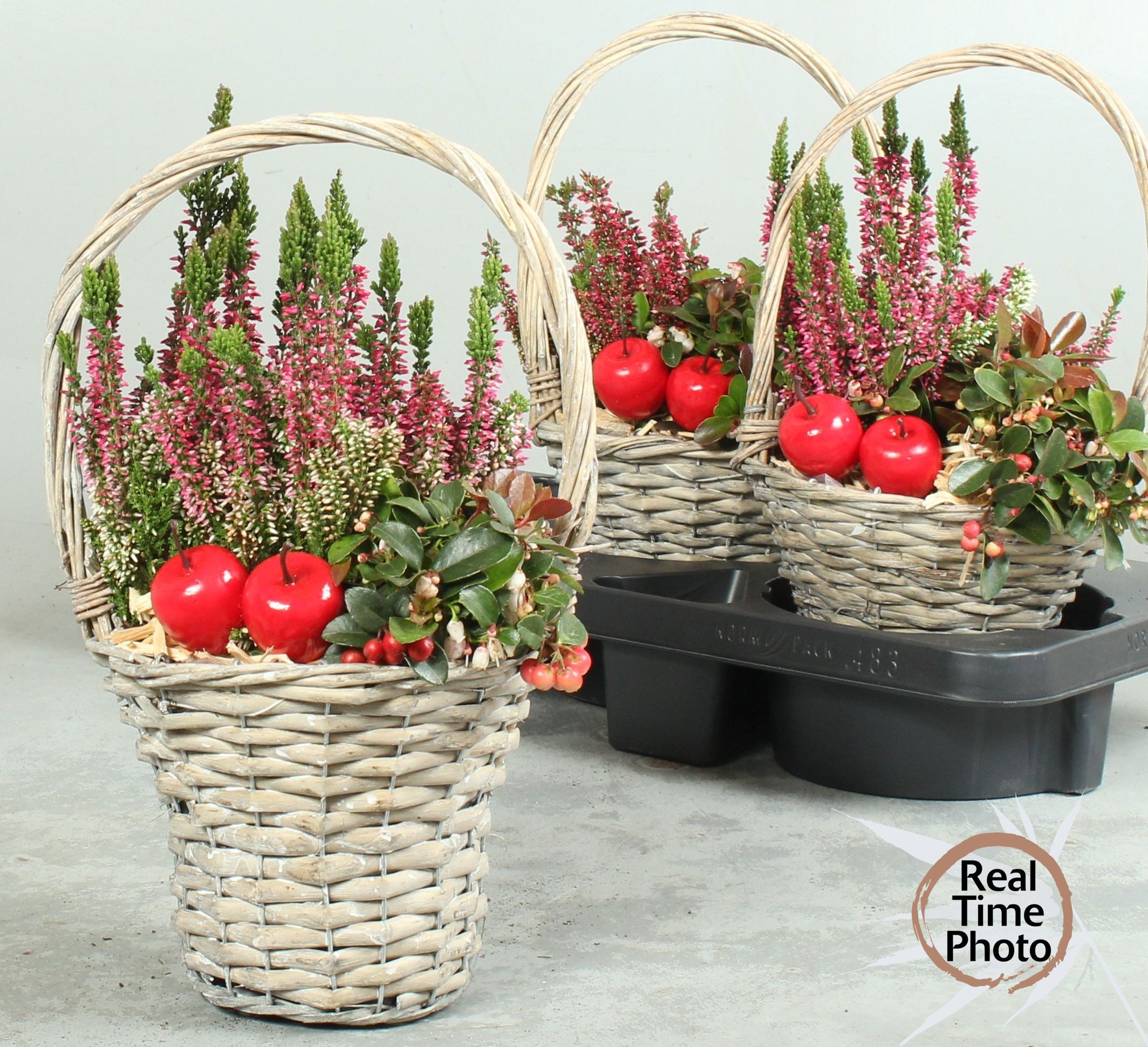 Arr Tuinplanten 18P 39cm