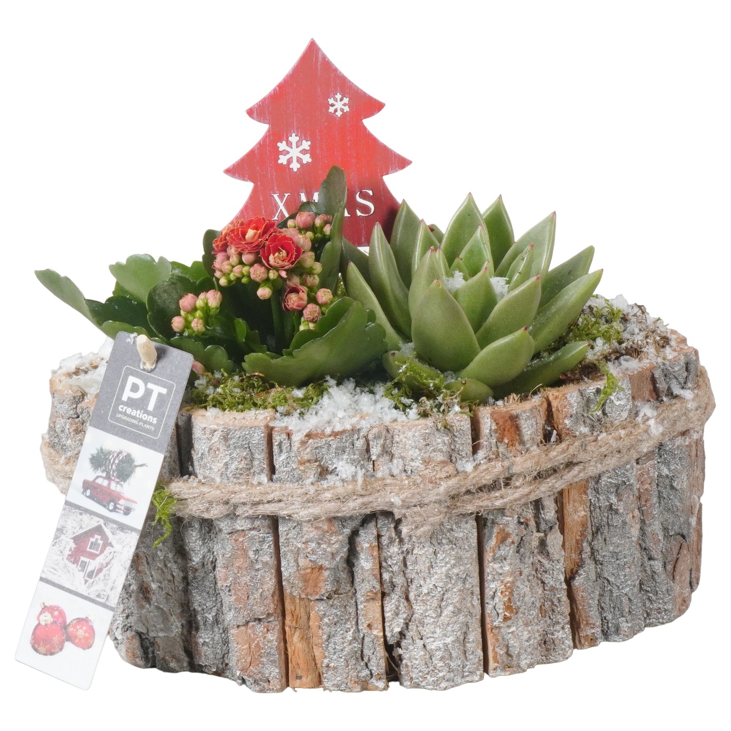 Picture of PTKB9318 Arrangement X-Mas in wooden boat P22 18cm