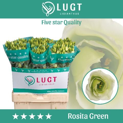 Eus G Rosi Green