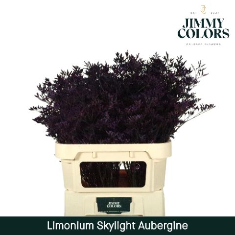 Lim Skylight L80 Aubergine