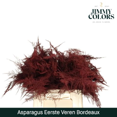 Aspa 1ste Veren Bordeaux