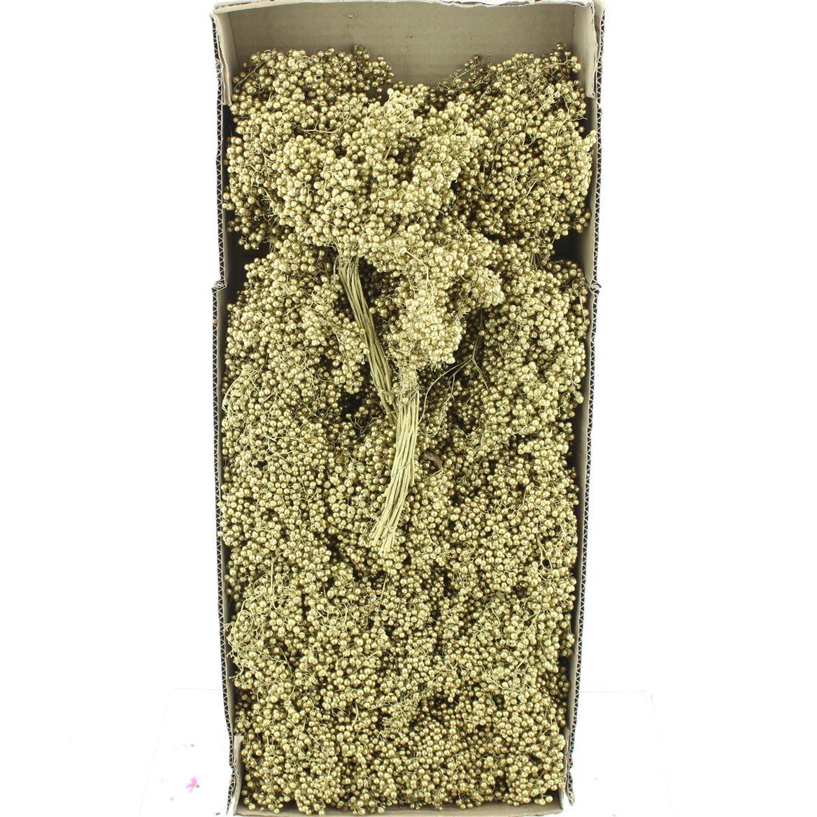 Schinus M Bes Bs H% 30cm 200gram