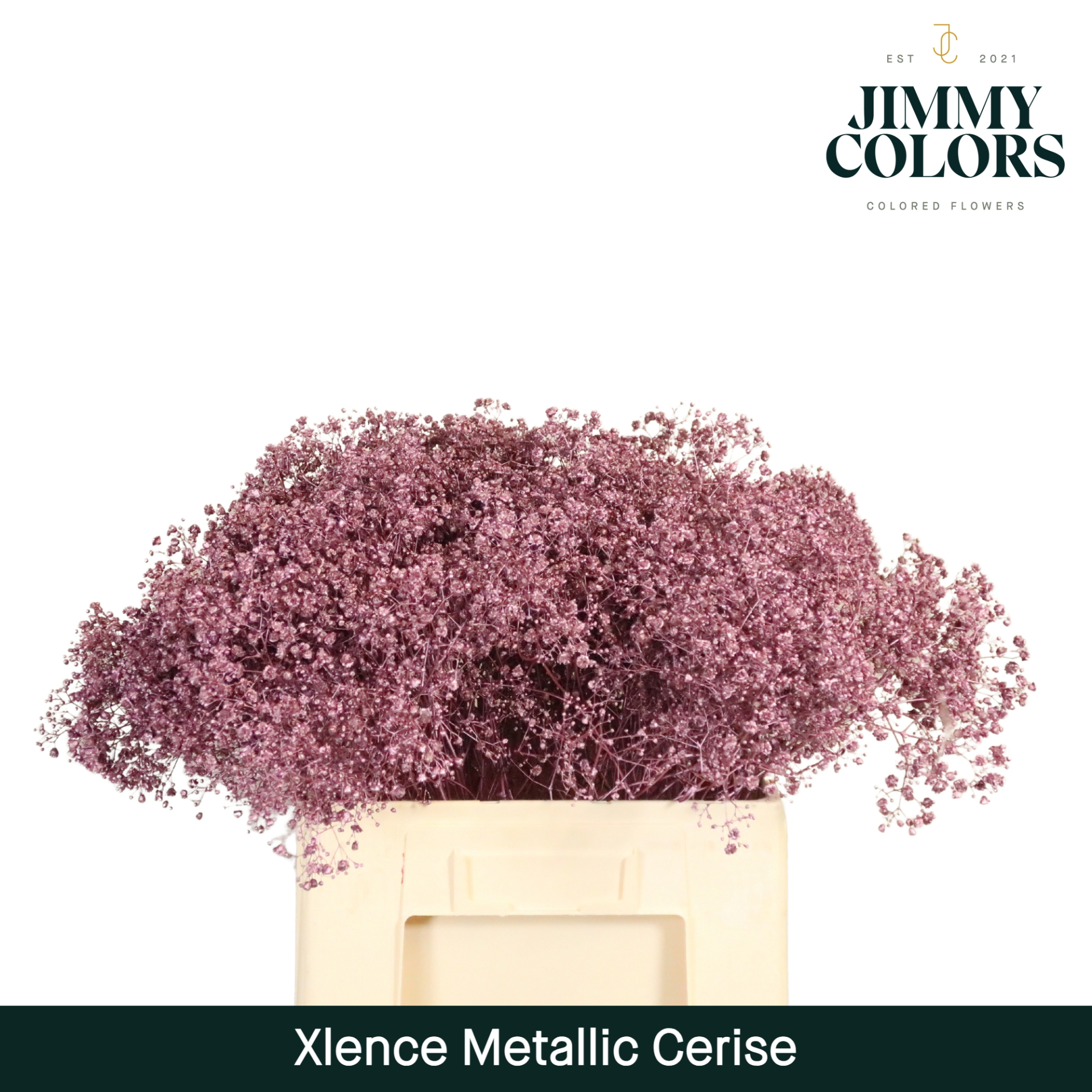 Gyps Xlence L60 Mtlc. Cerise