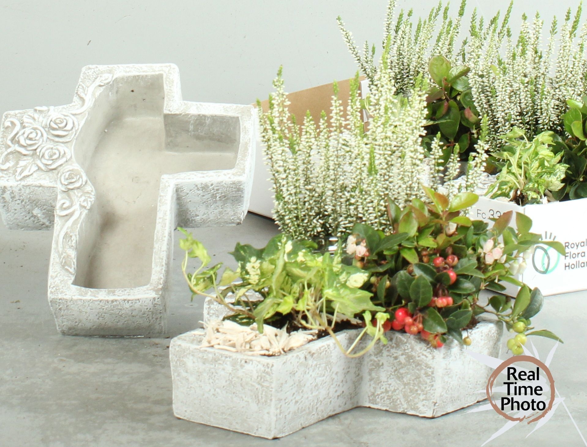 Arr Tuinplanten 25P 30cm