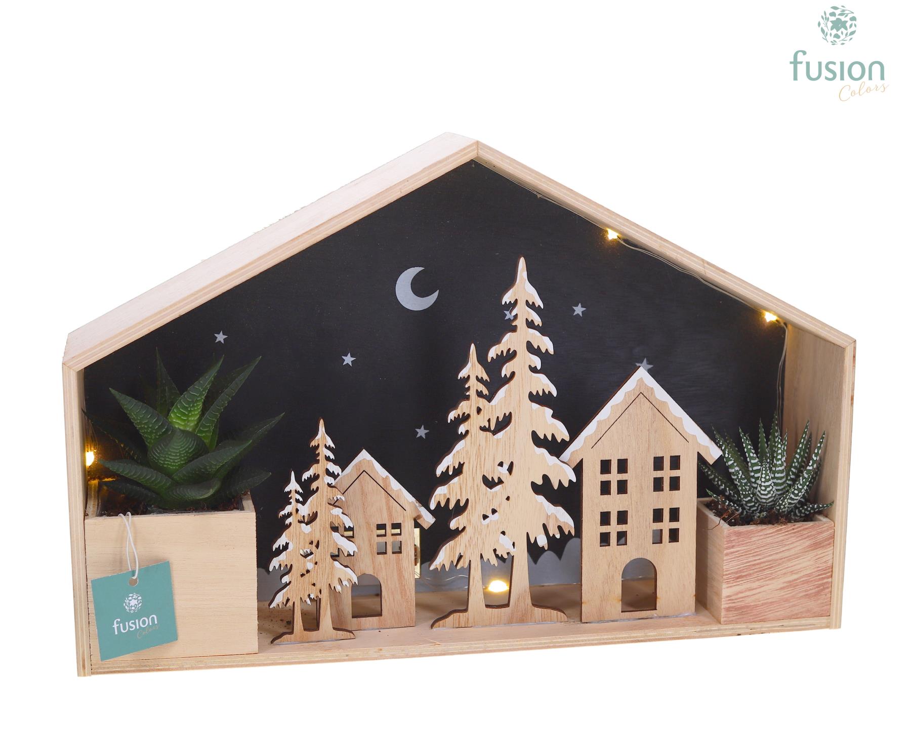 Picture of X-Mas arrangement Wooden House LED Haworthia FC-23.0037FDH P40 25CM