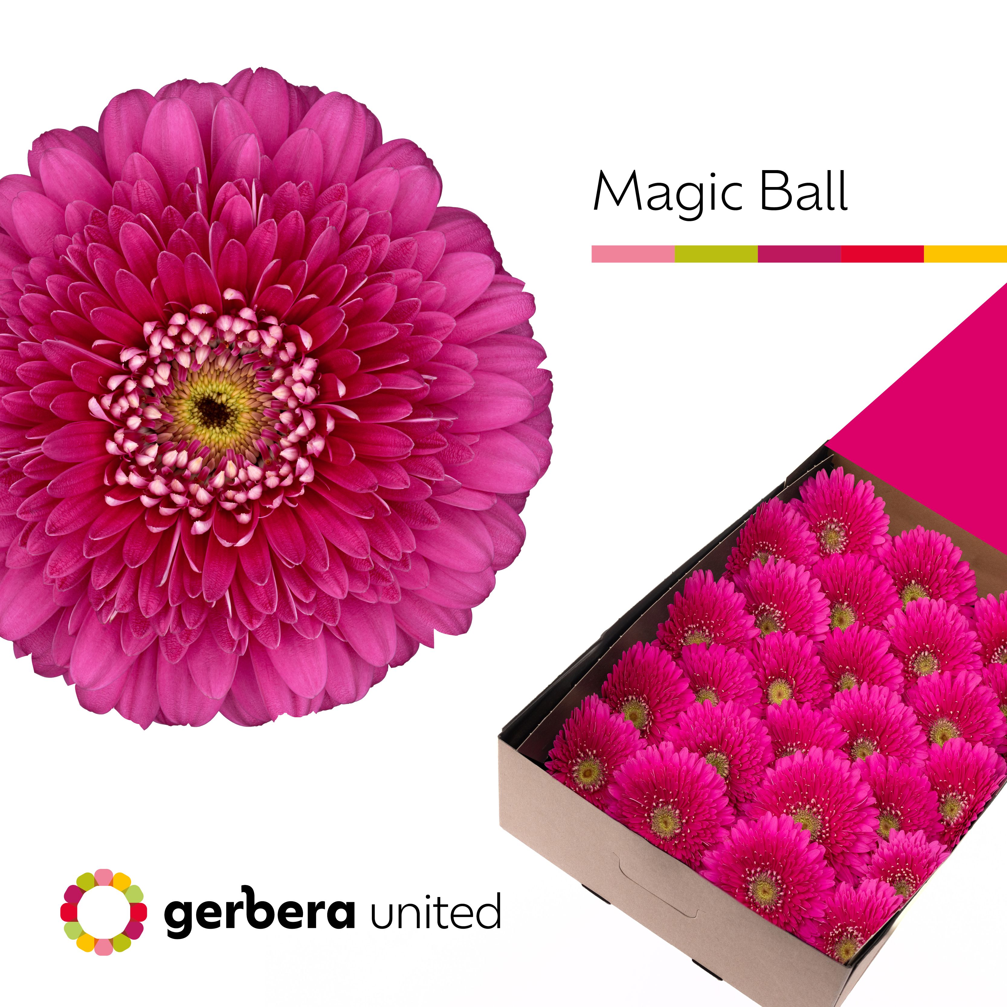 Ge Gb Magic Ball