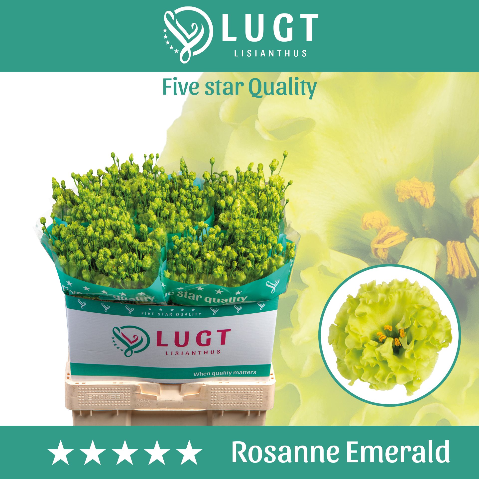 Lisianthus Rosanne Emerald