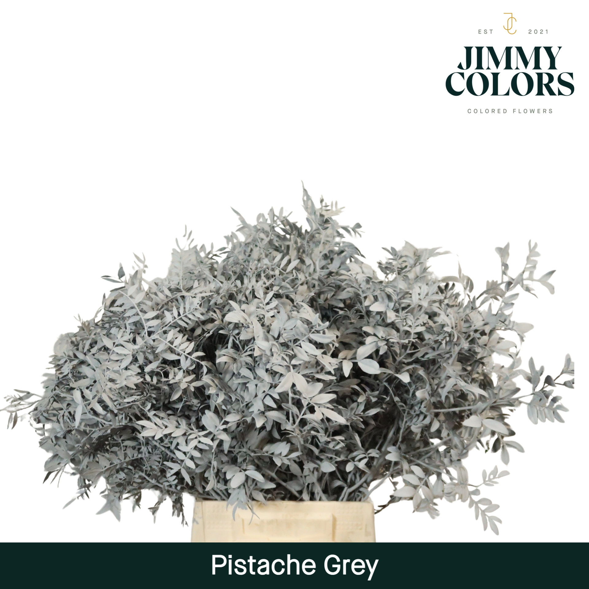 Pistache L50 Grey