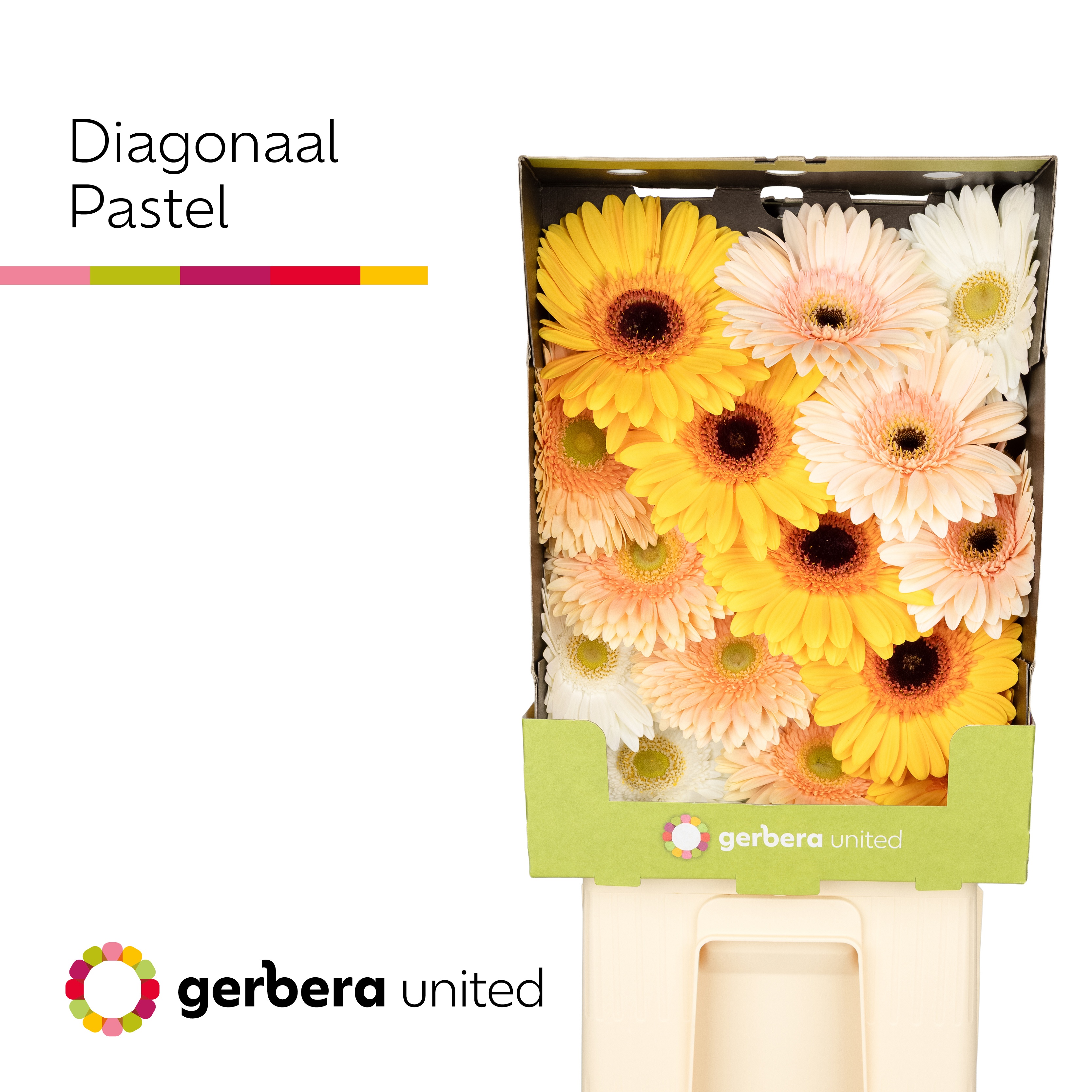Ge Gr Diagonaal Gem