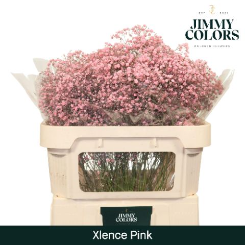 Gyps Xlence L70 Pink