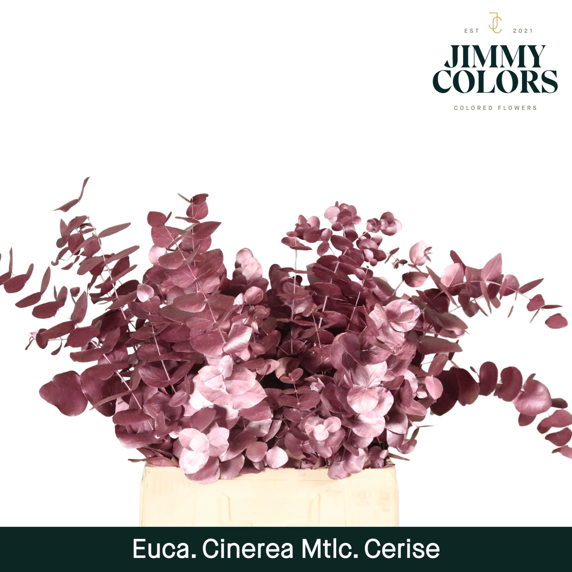 Cinerea Per Bos 200g Metallic Cerise
