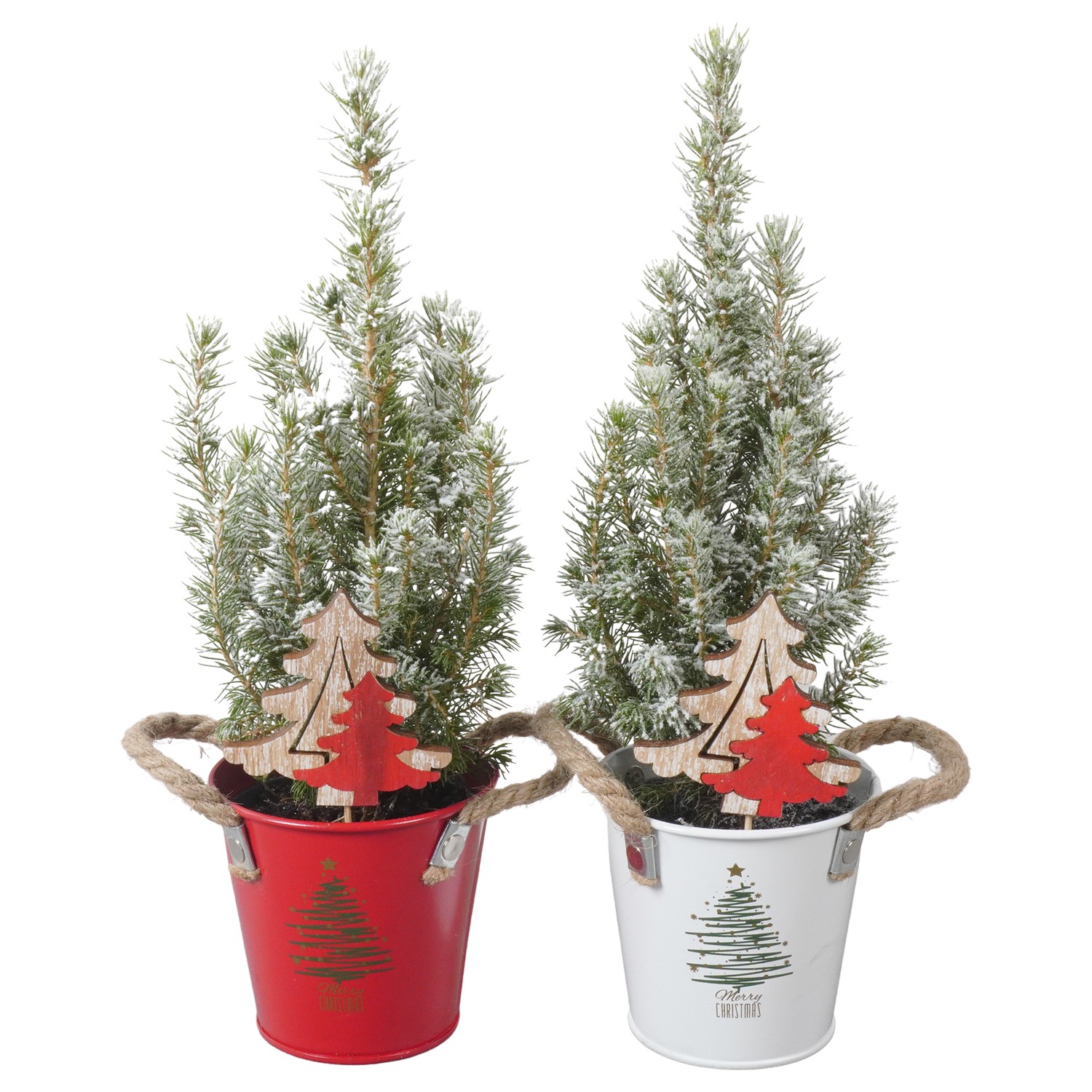 Picture of PTK24369 Picea Conica Perfecta with snow in zinc pot decoration P9 30CM