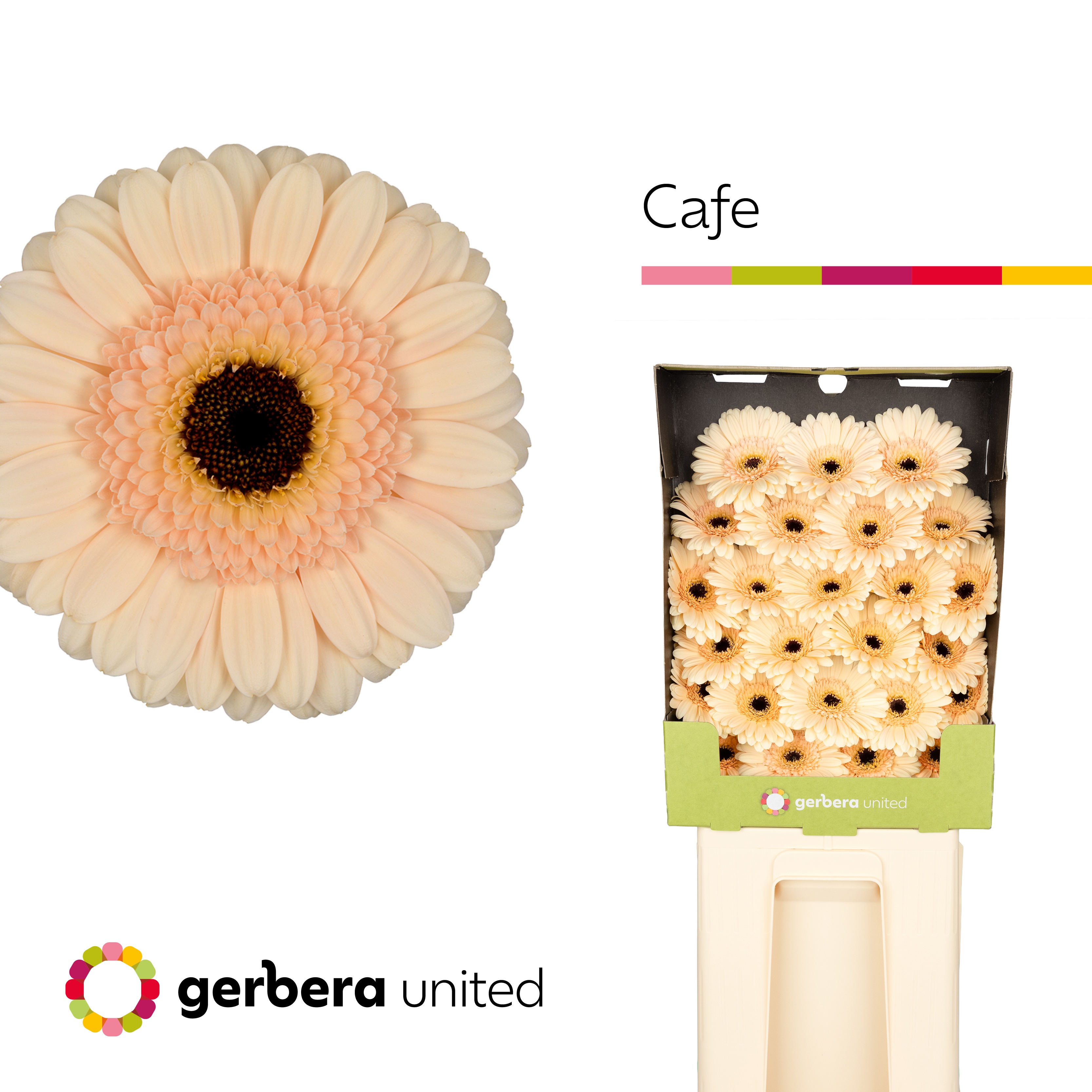 Ge Mi Cafe