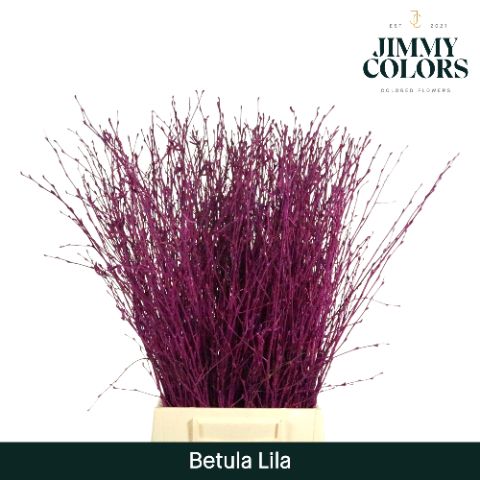 Betula L60 Lila