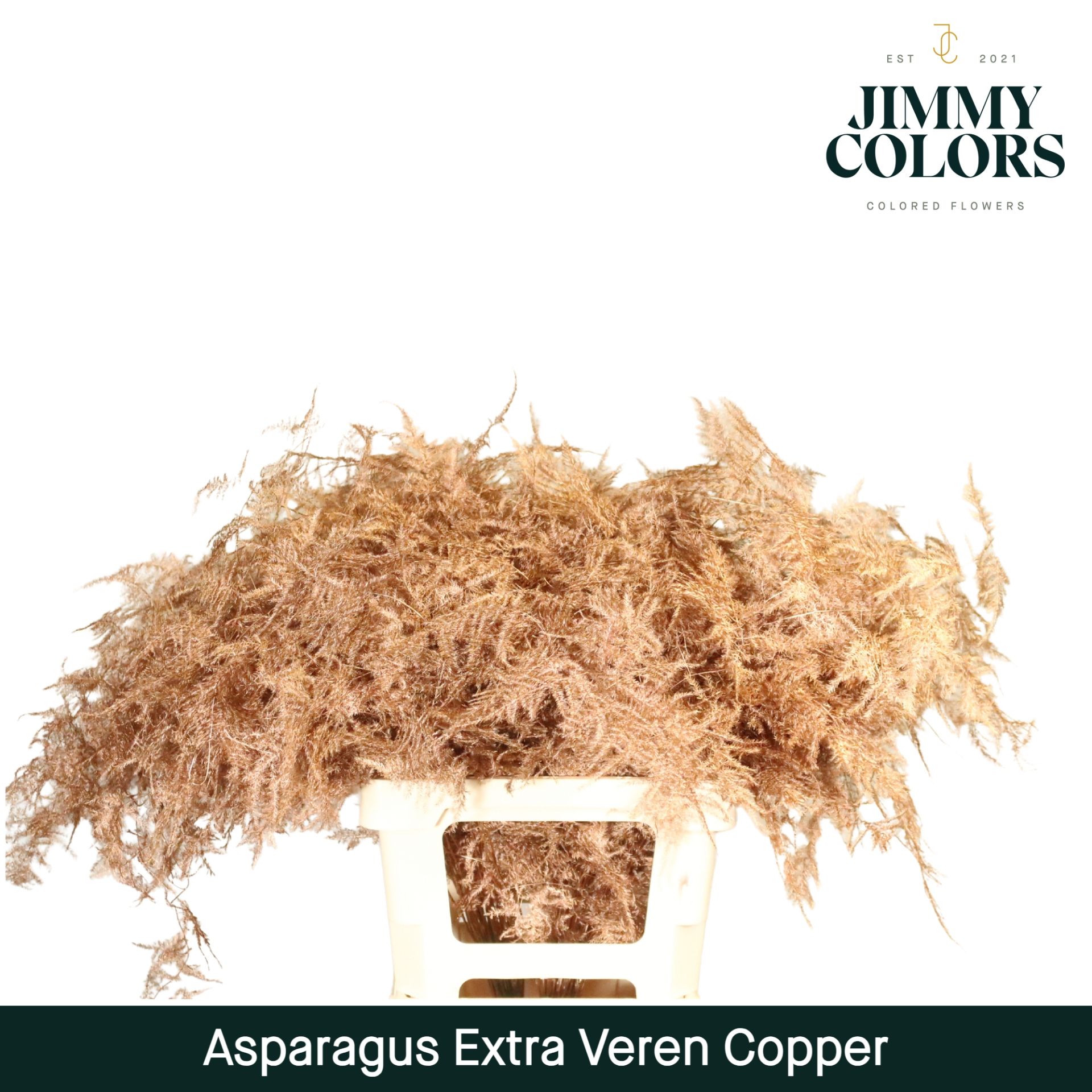 Aspa Extra Veren Copper