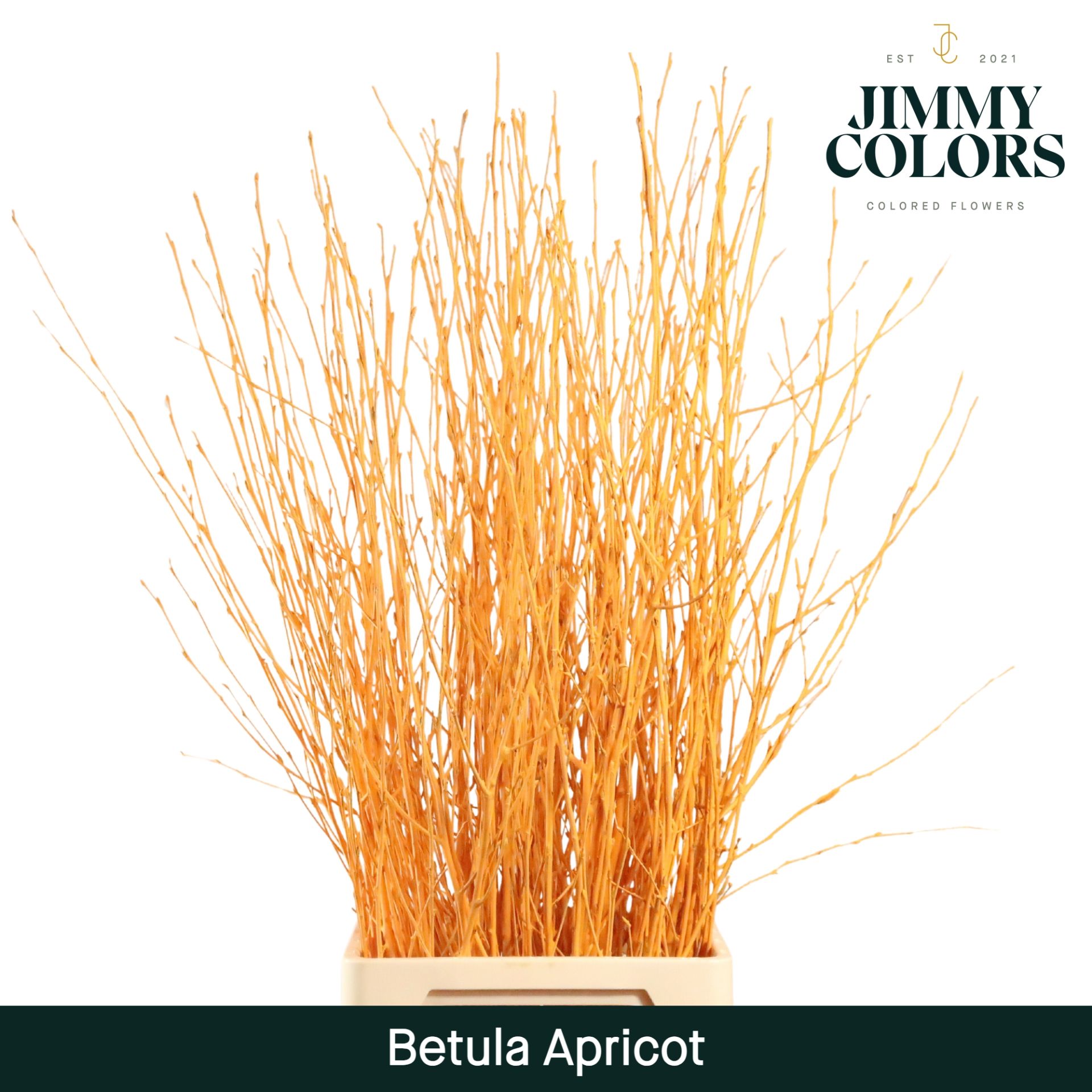 Betula L120 Apricot