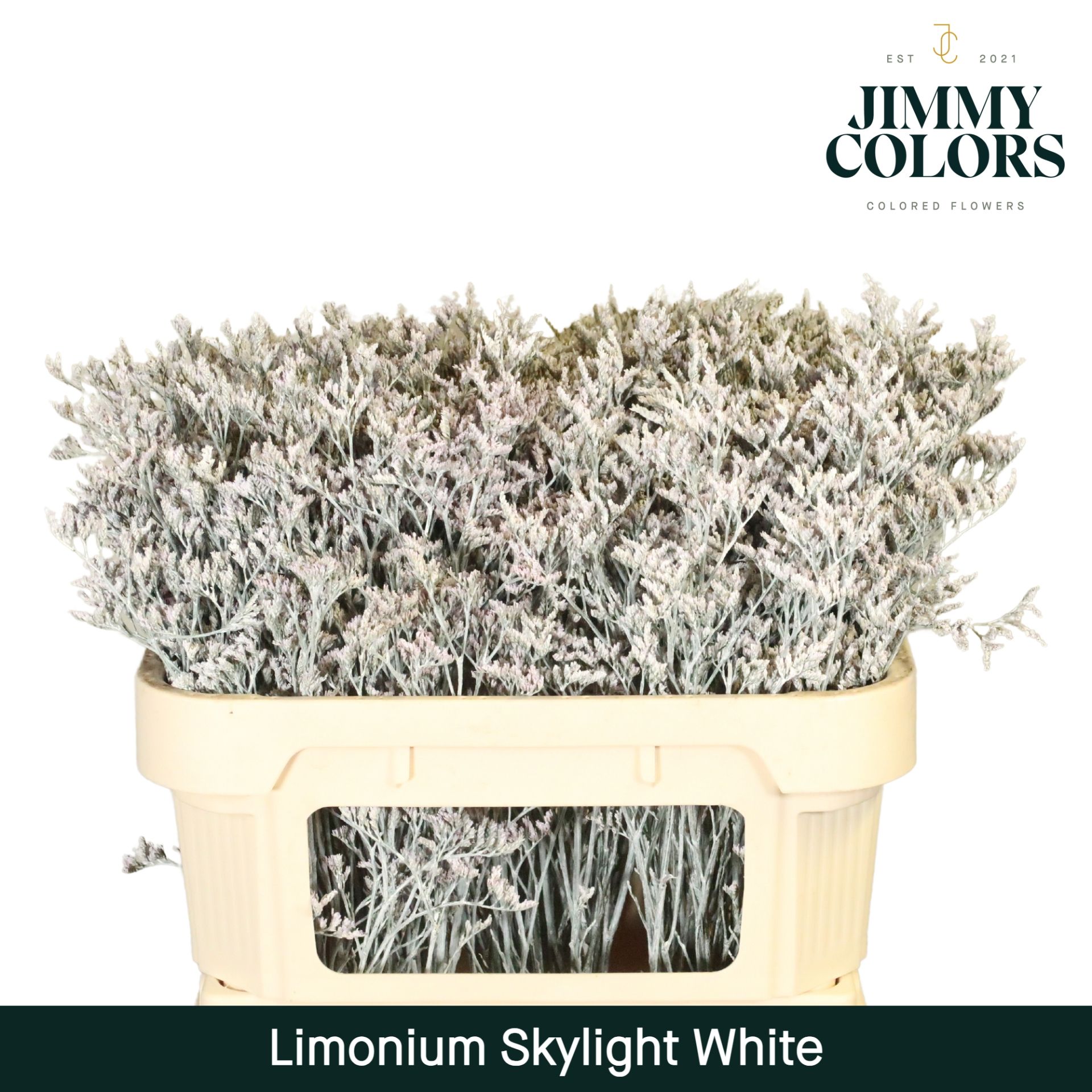 Lim Skylight L70 White