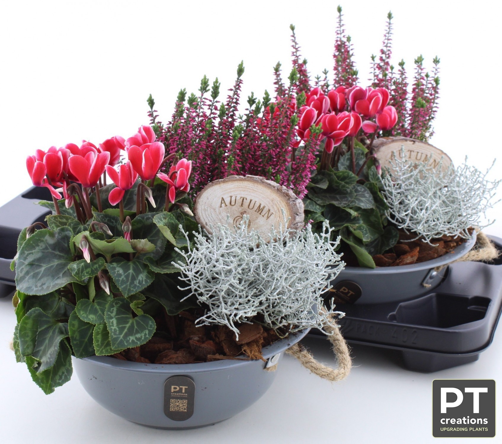 Arrangement Garden Plants 24Ø 28cm