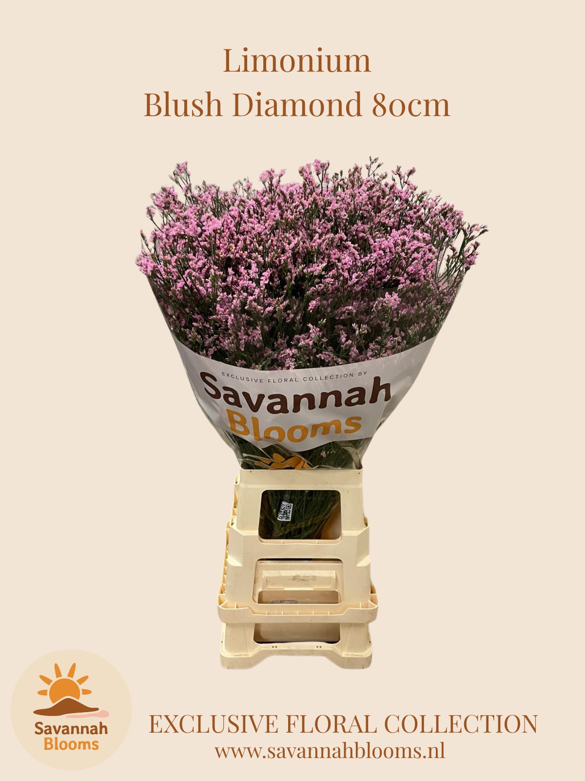 Limonium Sin Blush Diamond 80cm 40gram
