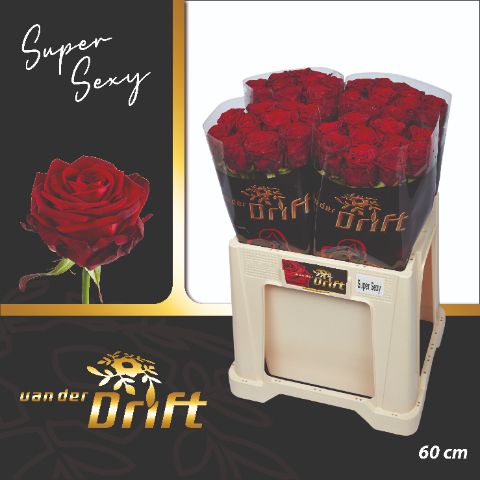 R Gr Red Naomi!