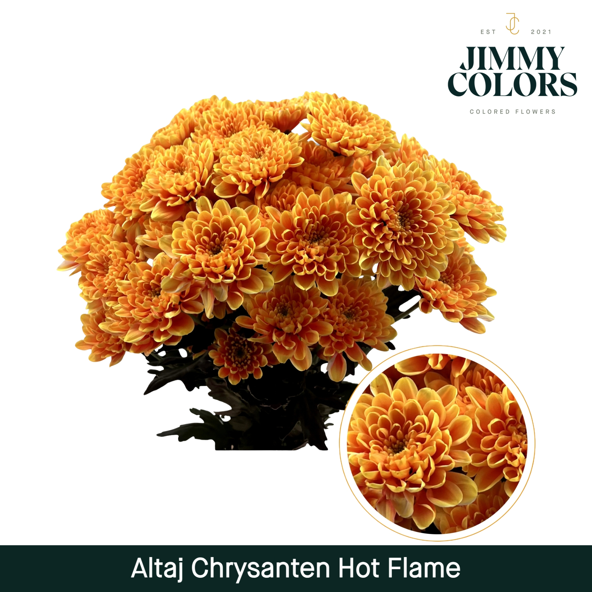 Chr T Altaj Hot Flame