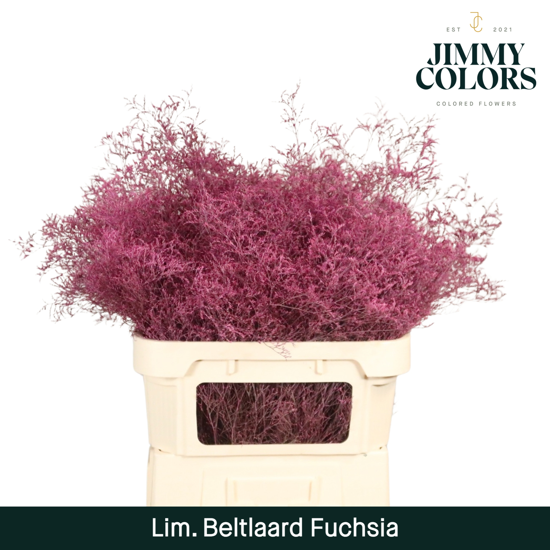Lim Bel L90 Fuchsia