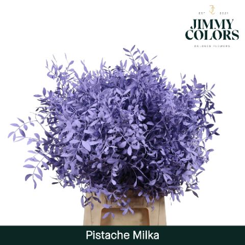 Pistache L50 Milka