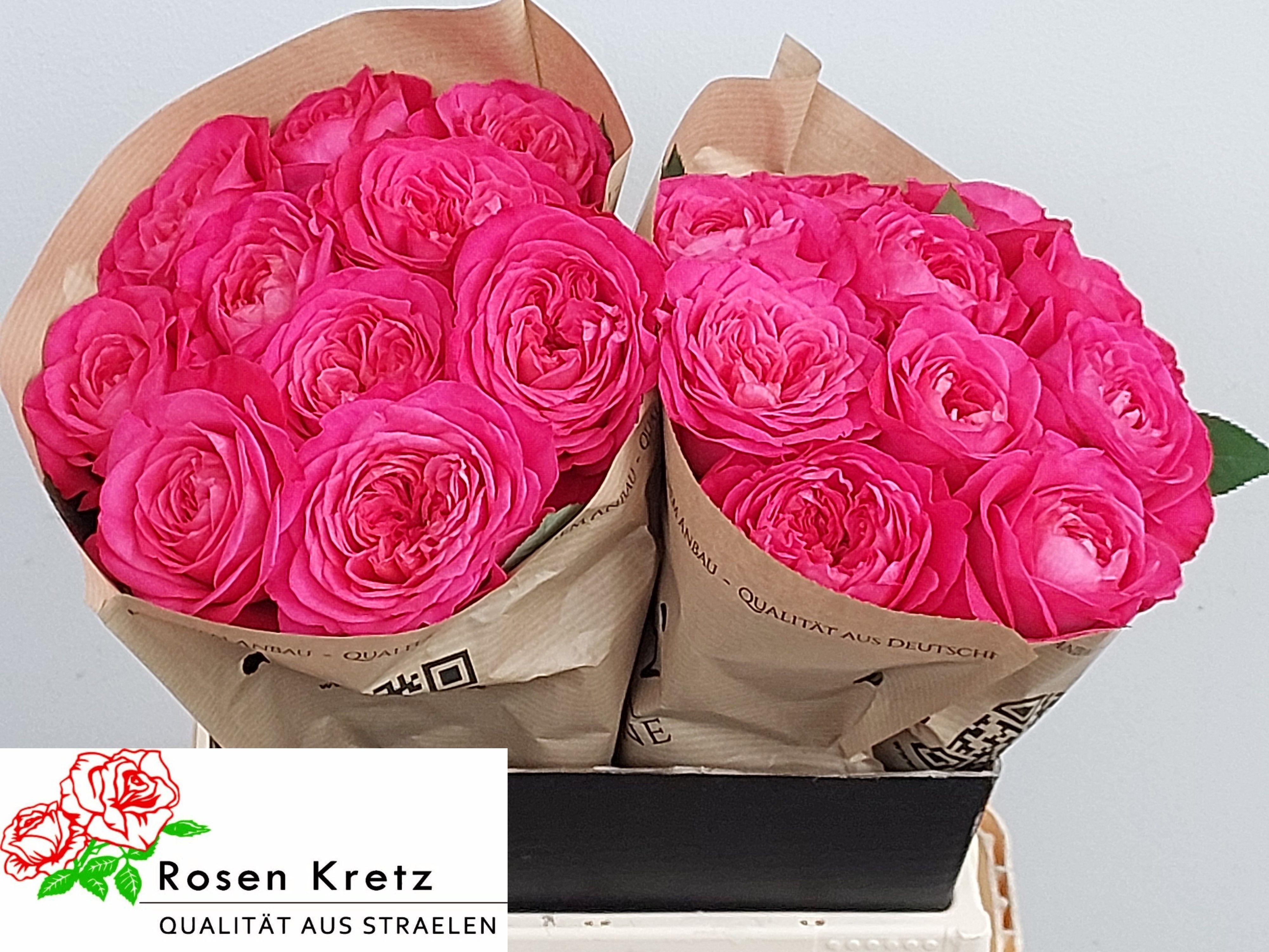 R Gr Girlfriend 40cm