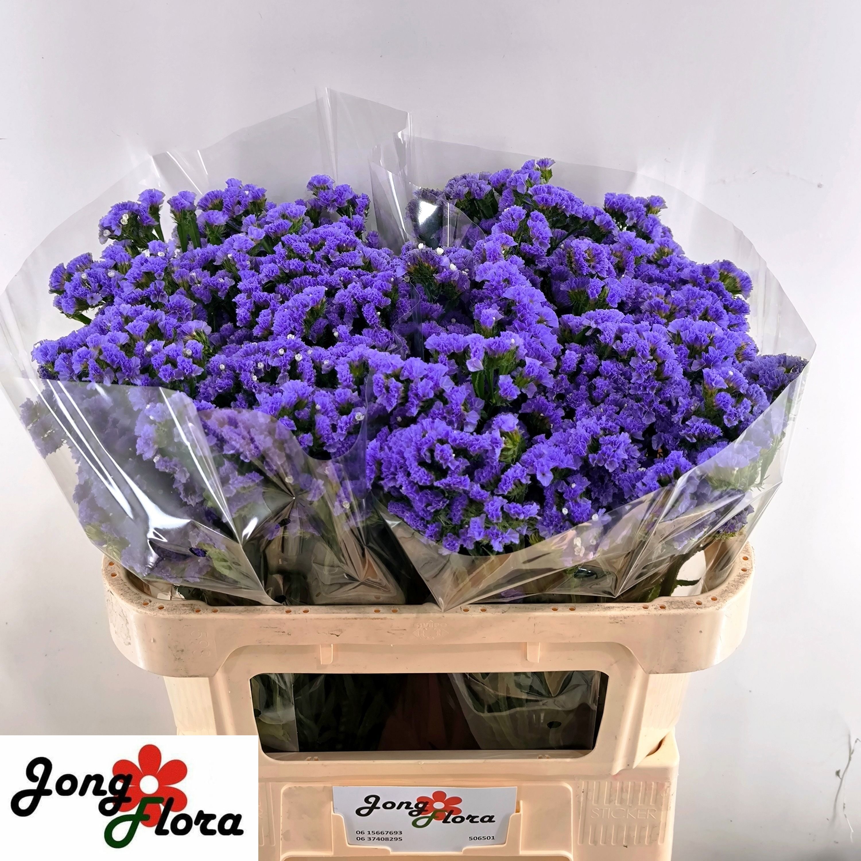 Lim S Midnight Wings 70cm 30gram