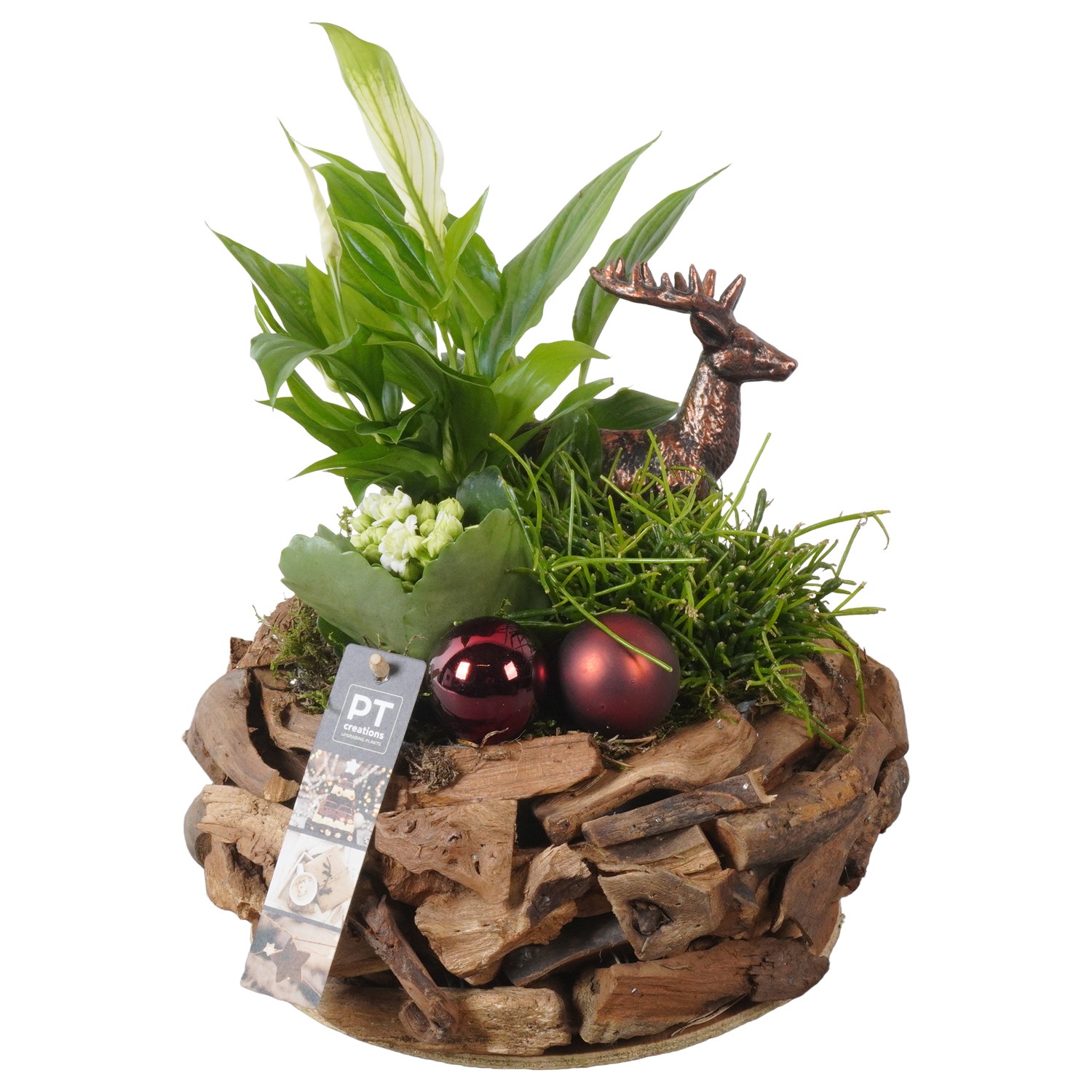 Picture of PTKB9306 Arrangement X-Mas in wooden bowl P24 29CM