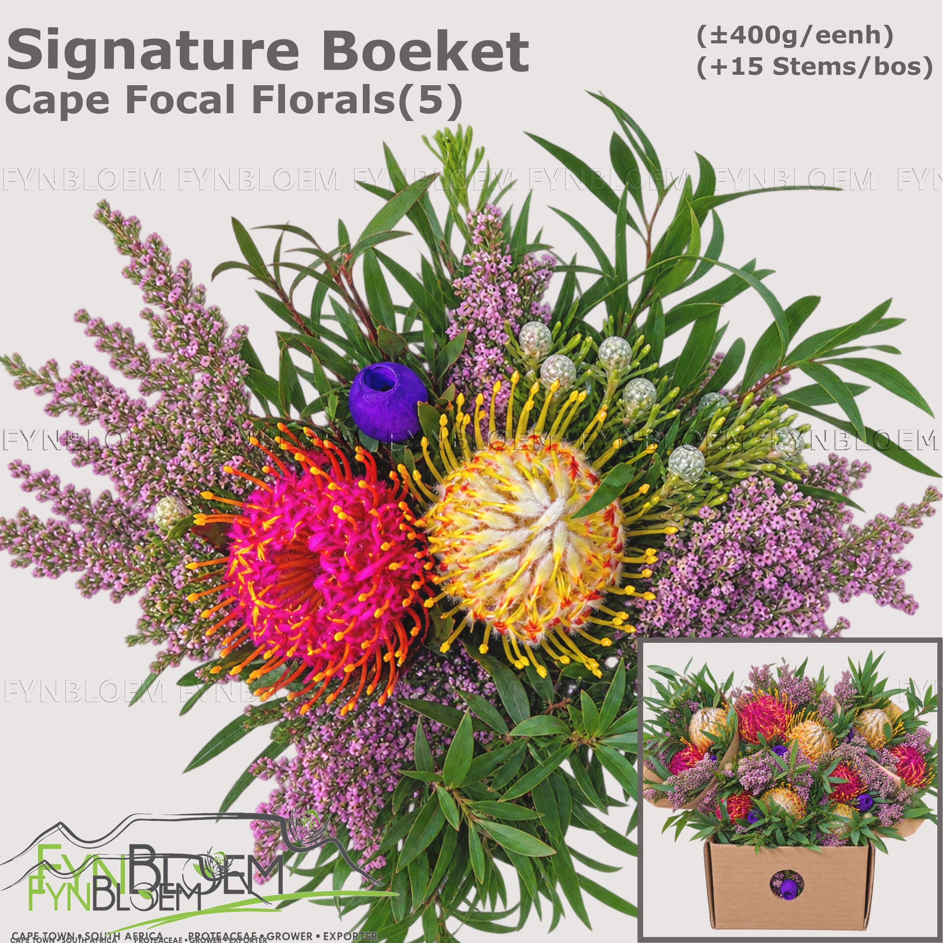 Protea Per Bos