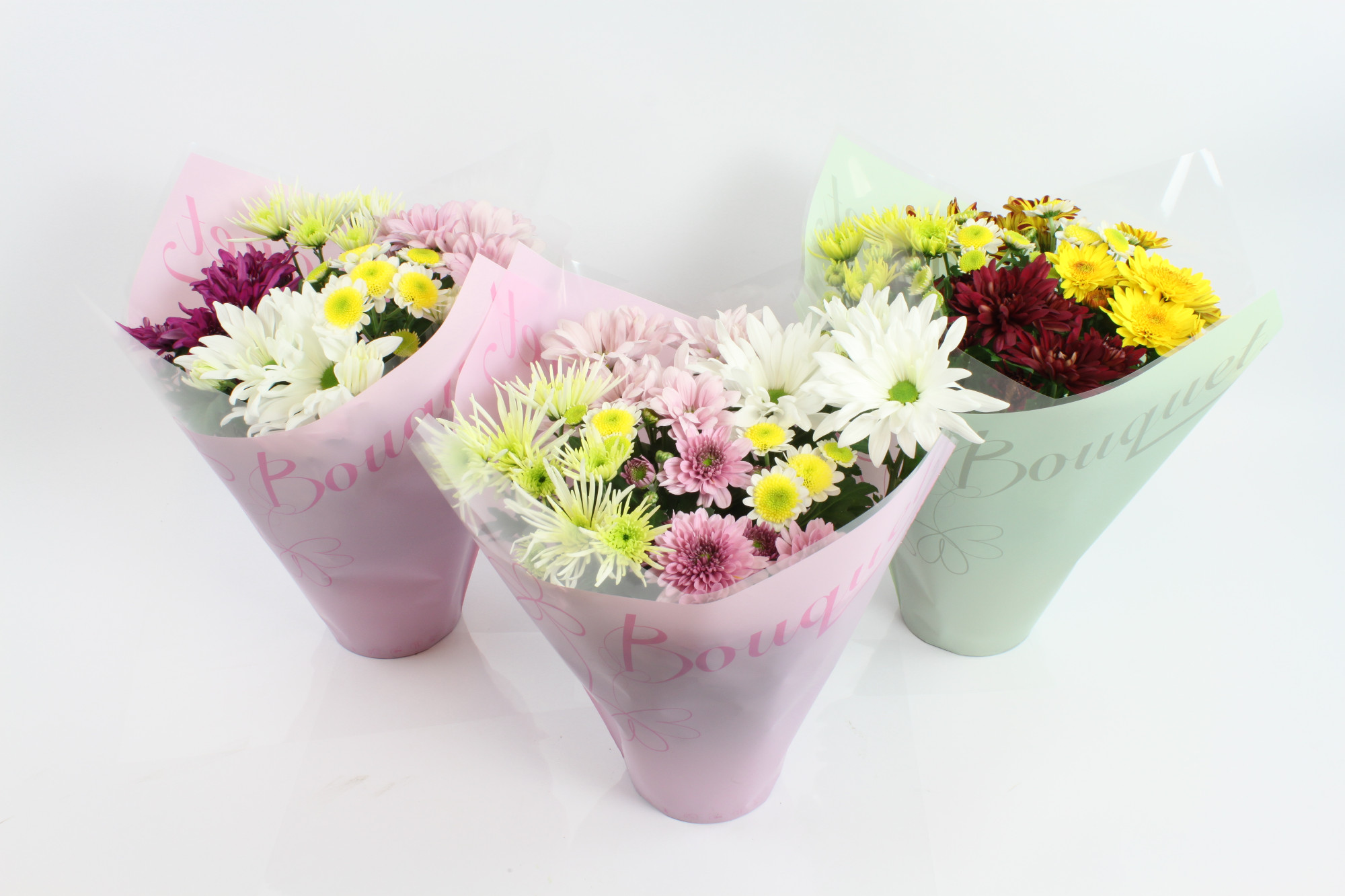 Picture of Chrysant Bouquet Mix P14 27cm