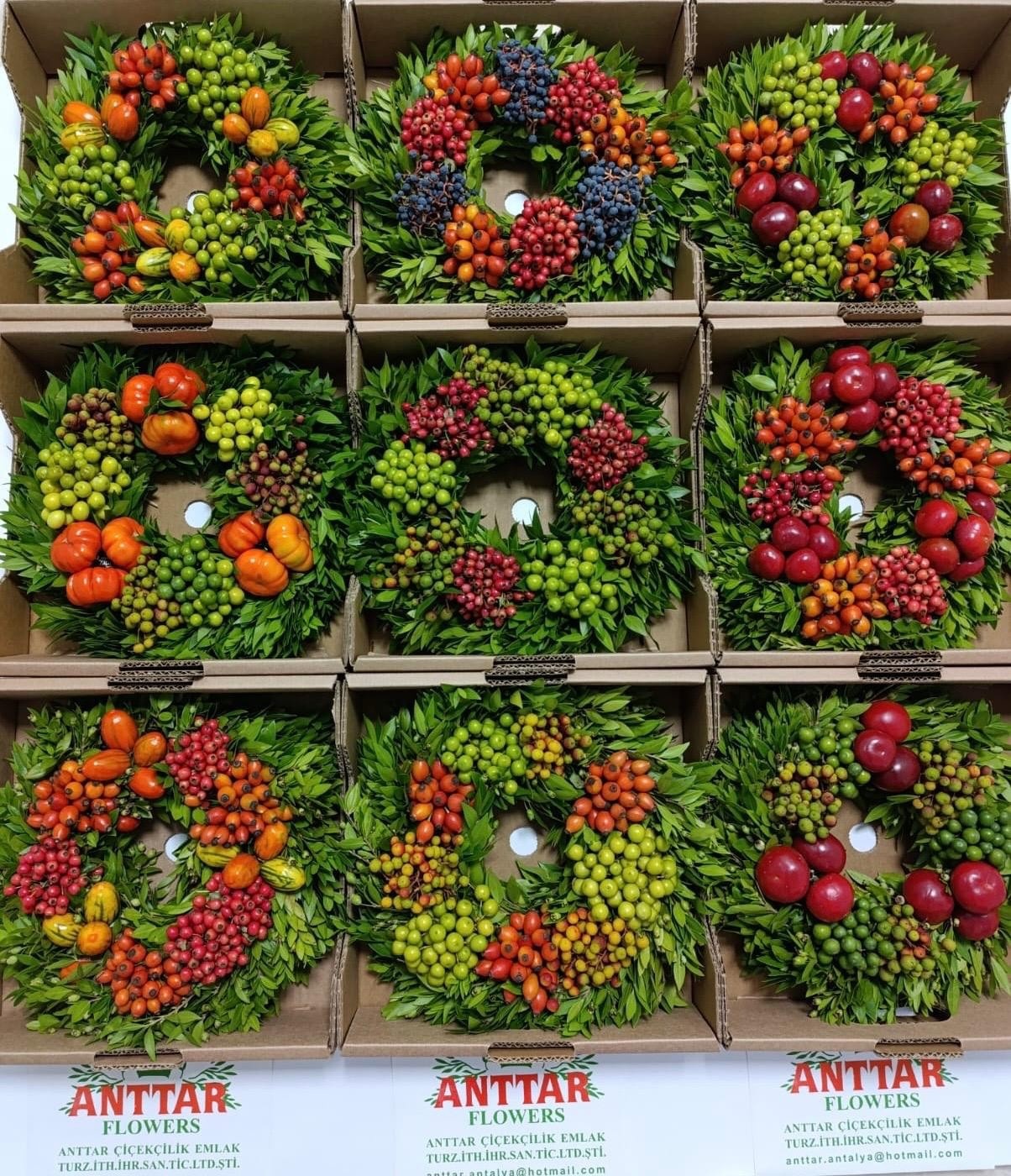 Fruits Malus Per Piece