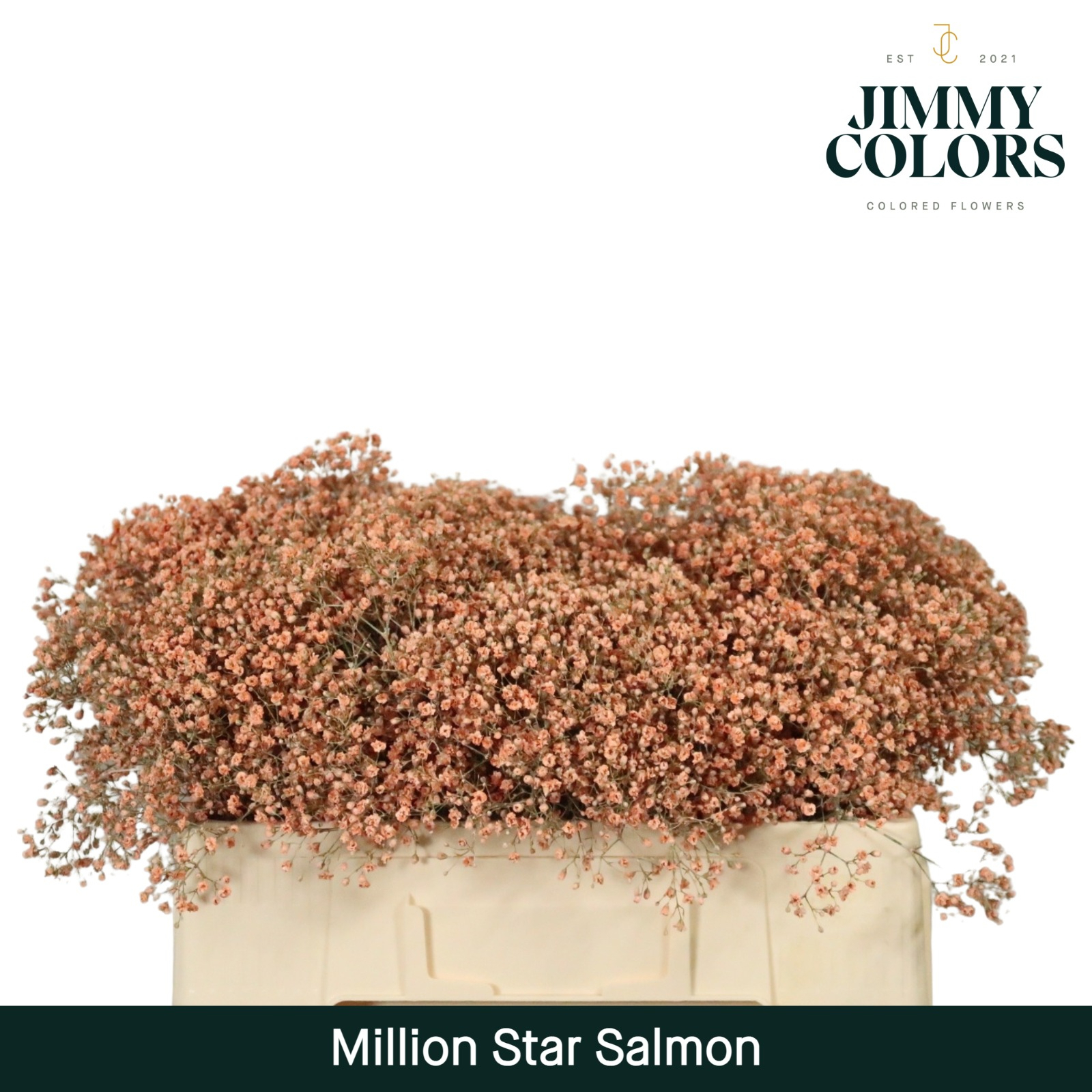 Gyps Million Star L50 Salmon