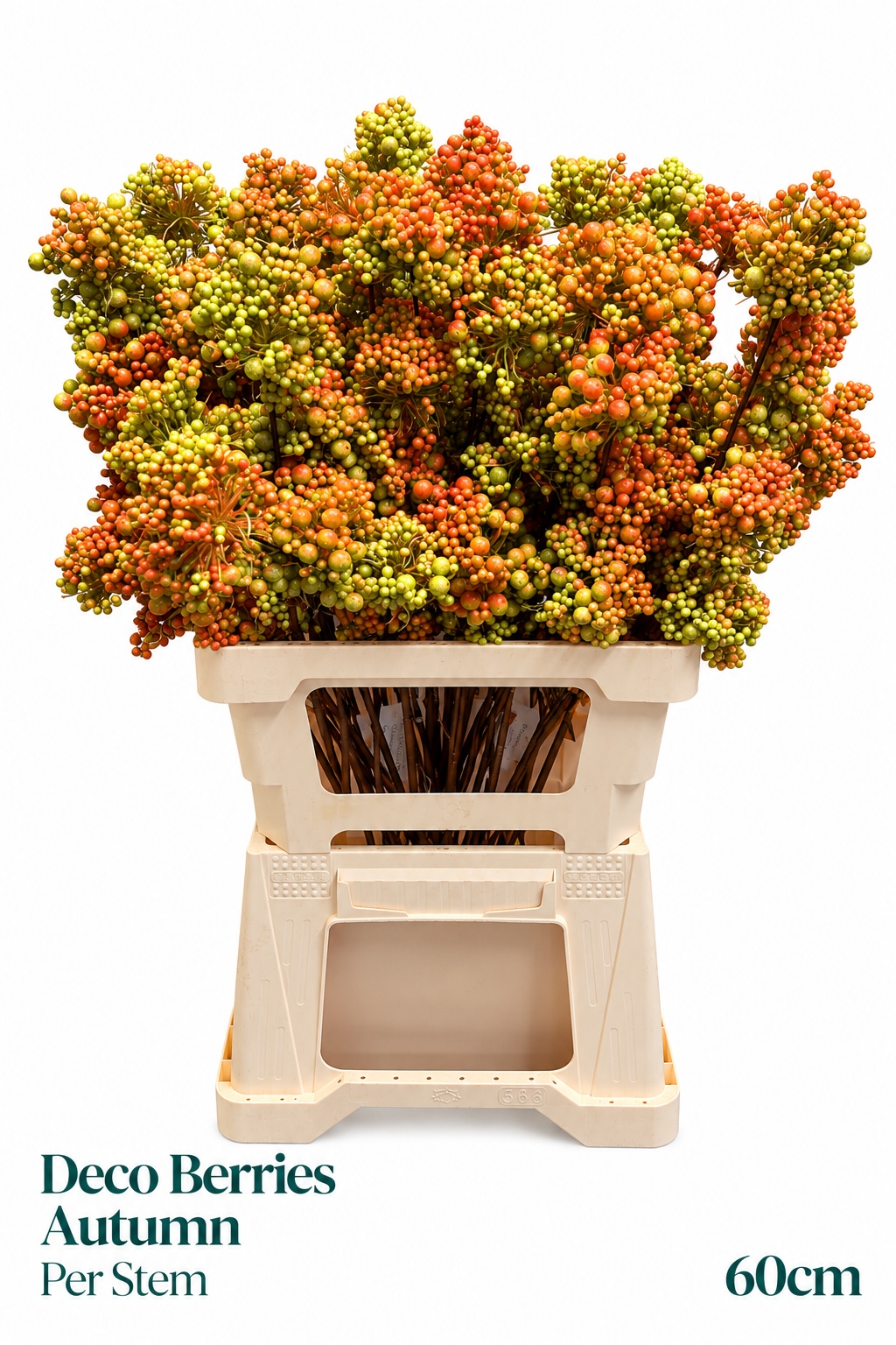 Kerst Art Ov 60L.cm