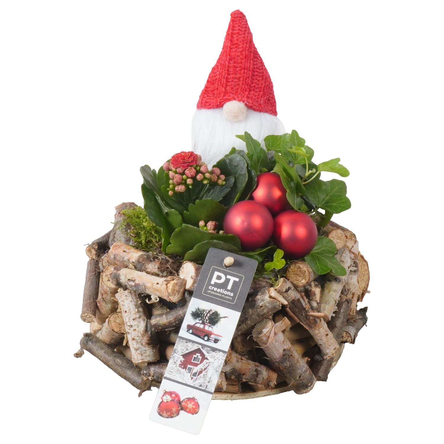 Picture of PTKB9301 Arrangement X-Mas in wooden bowl P20 20CM