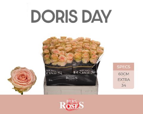 R Gr Doris Day