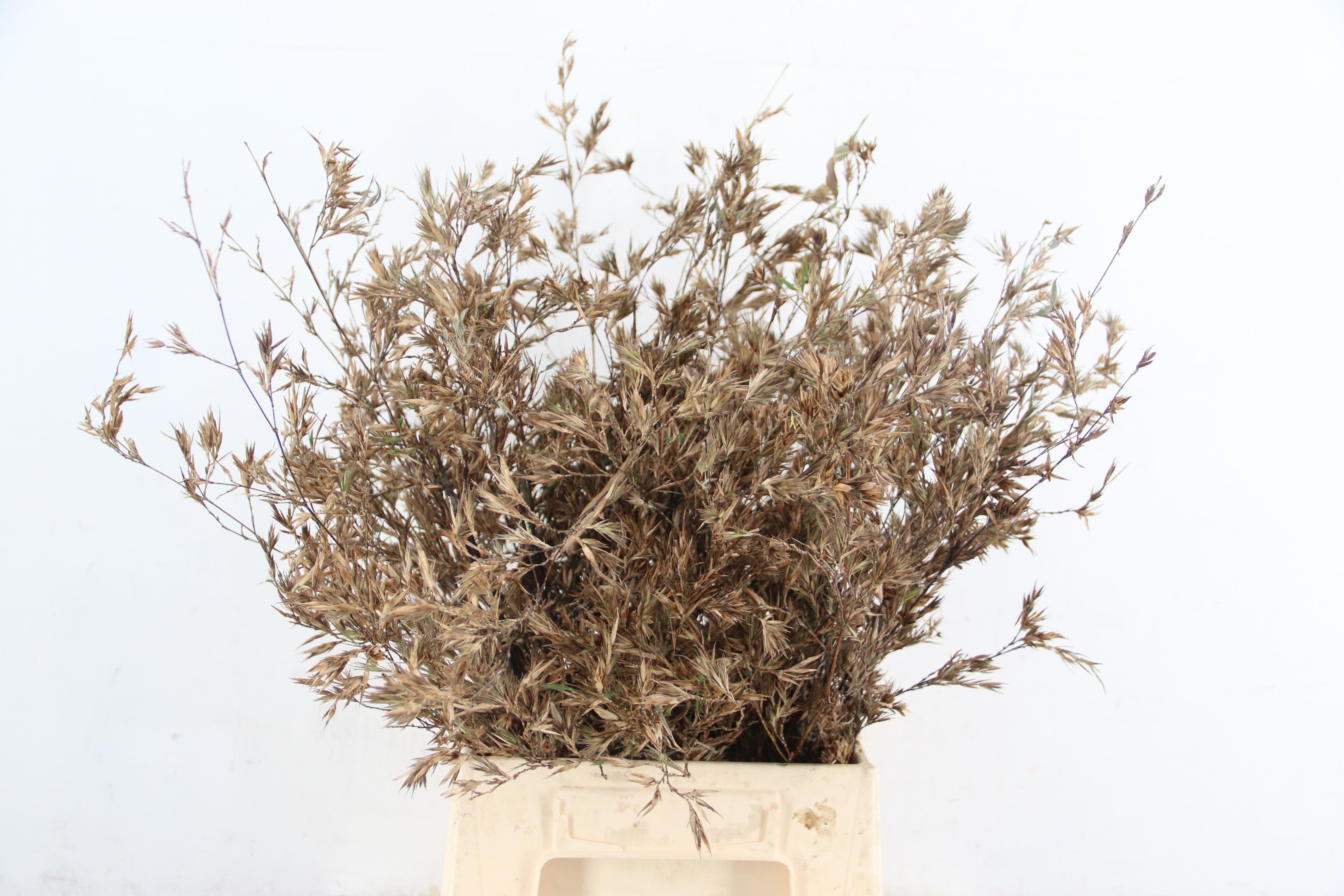 Decogroen Ov 45L.cm