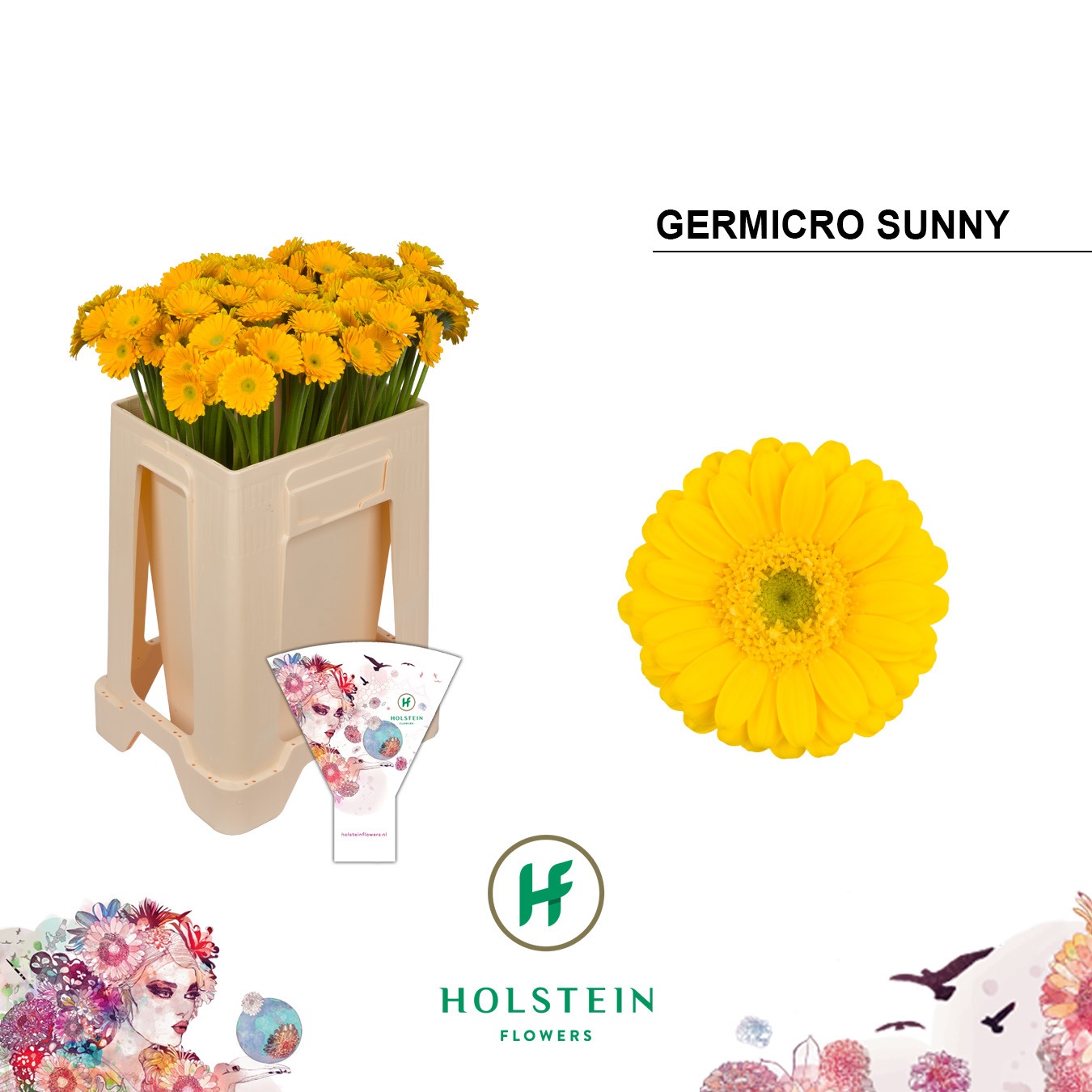 Ge Na Germicro Sunny