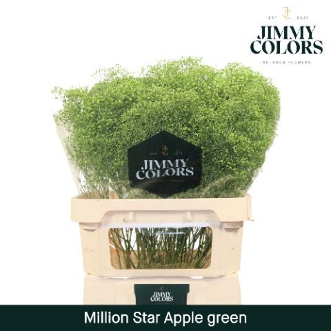 Gyps Million Star L80 Apple Green