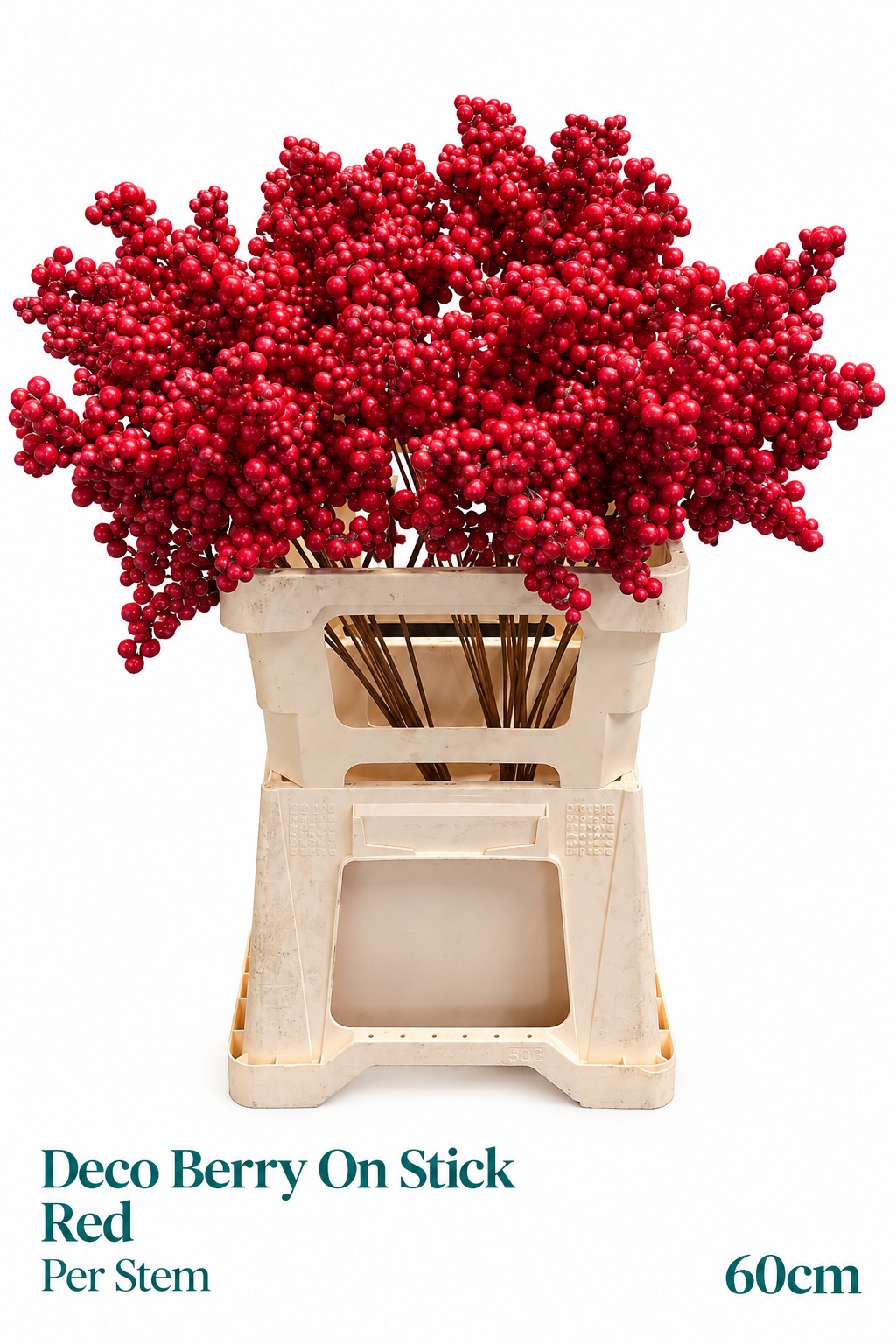 Kerst Art Ov 60L.cm