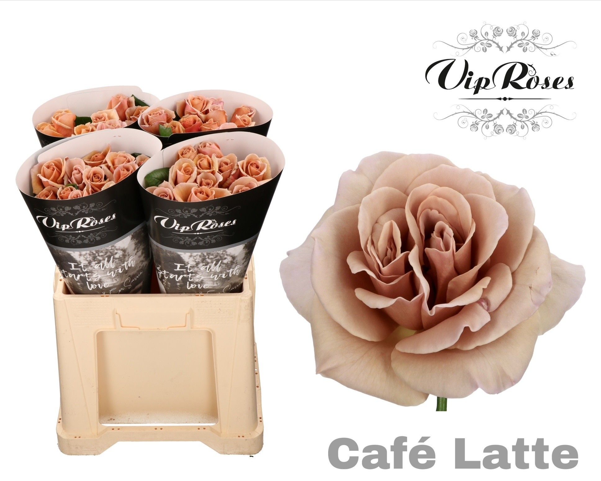R Gr Cafe Latte