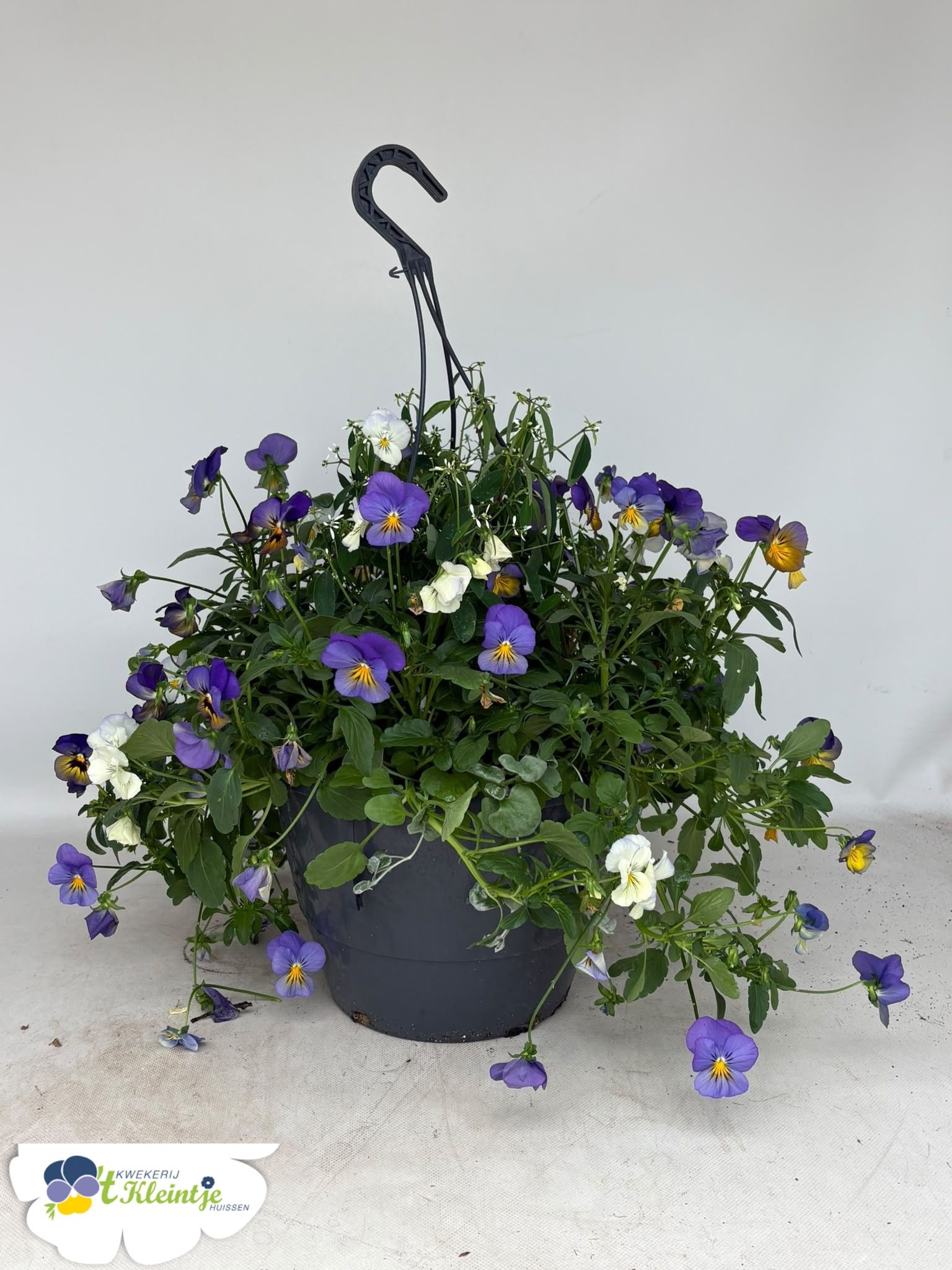 Hanging Baskets 27P 40H