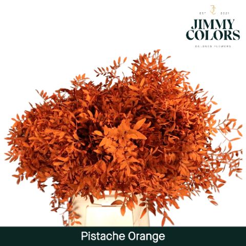 Pistache L50 Orange