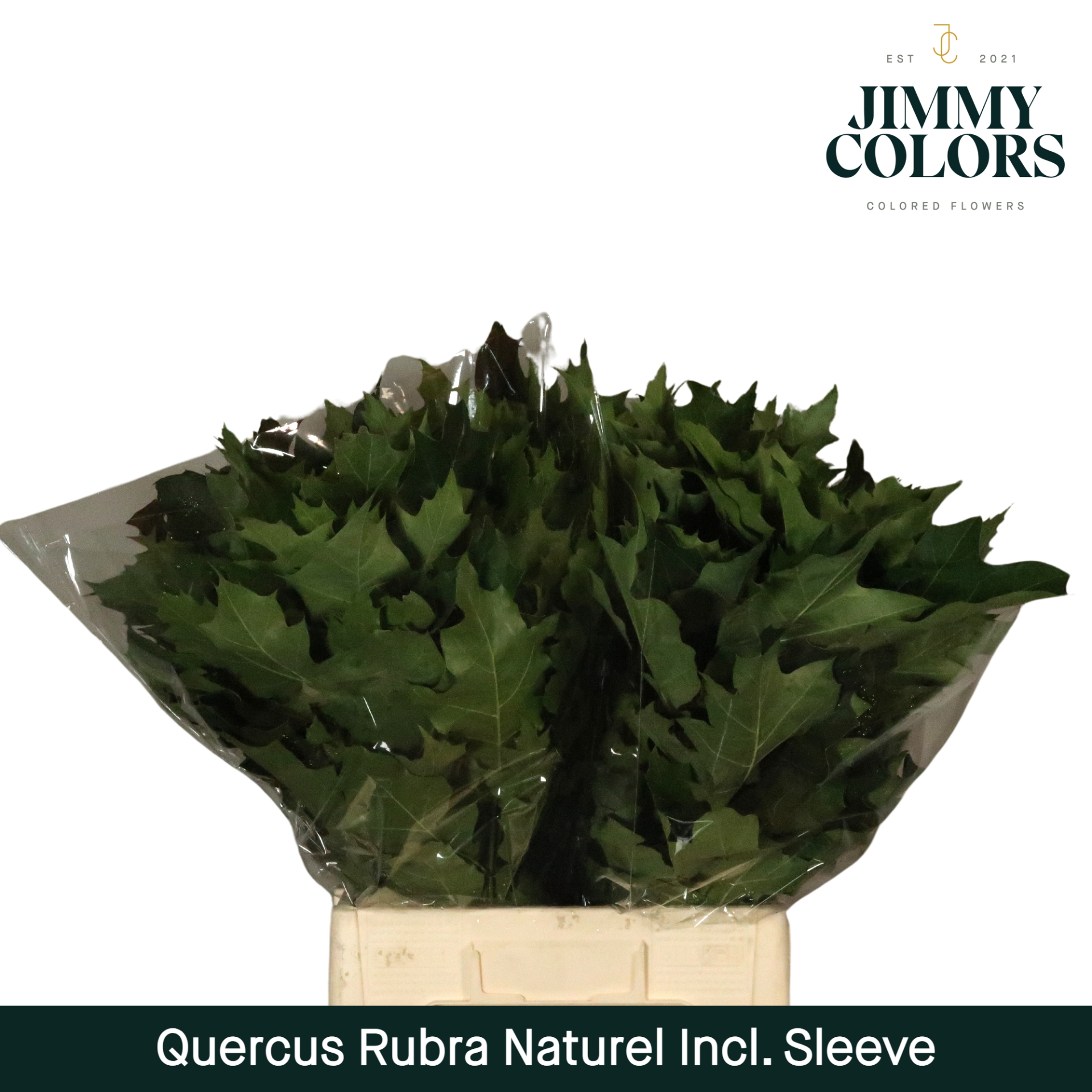 Quercus Rubra Sleeve L60 Naturel